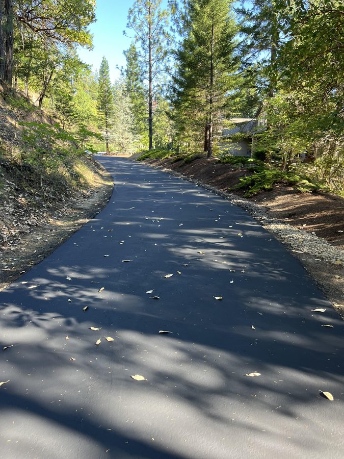 Long freshly sealcoated private driveway lined with pine trees in dappled sunlight on Seclusion Loop in Grants Pass, Oregon