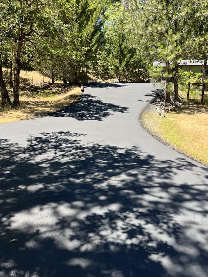 Tree-lined asphalt driveway sealed to a deep black finish curving through the property on Lower River Road in Grants Pass, Oregon