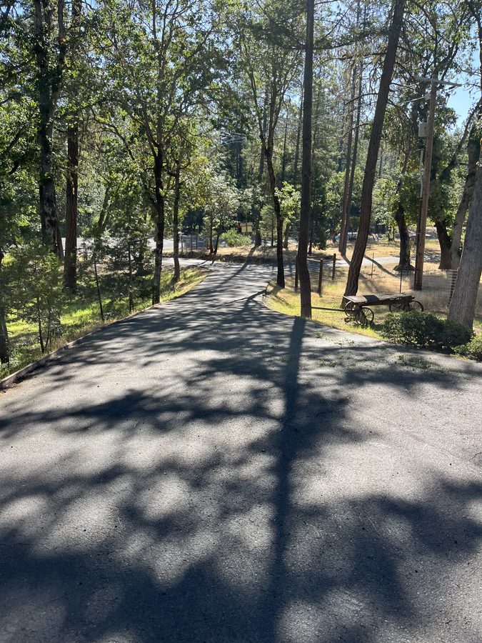 Sealcoated residential driveway lined with trees and fencing on Lower River Road in Grants Pass, Oregon