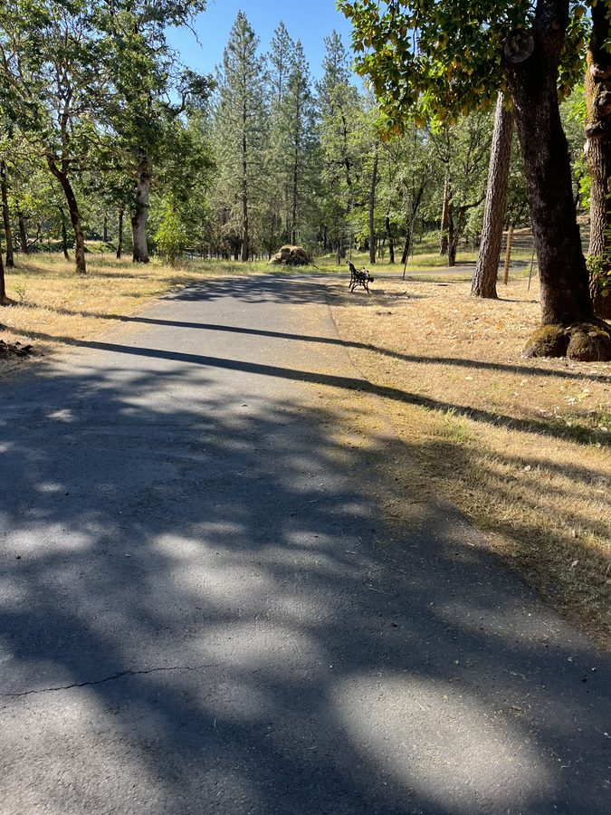 Worn, sun-faded asphalt driveway with a long surface crack before crack filling and sealcoating on Lower River Road in Grants Pass, Oregon